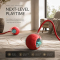 Paw-Zozo™ Smart Pet Interactive Ball Toy