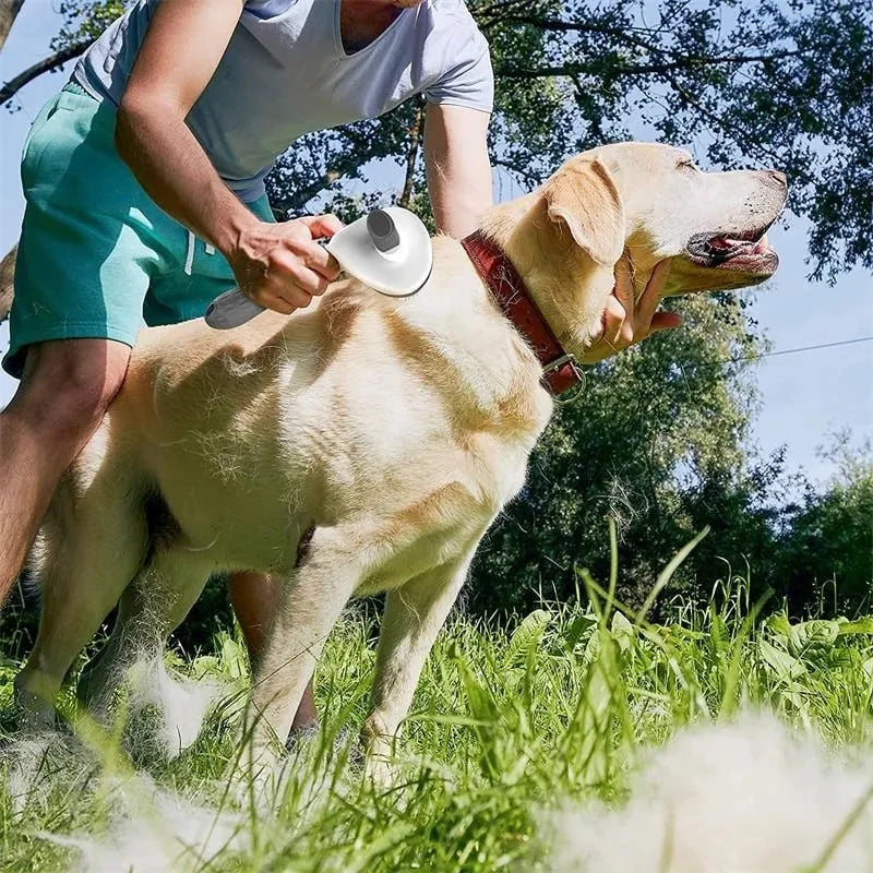 Paw-Zozo™Self-Cleaning Grooming Brush
