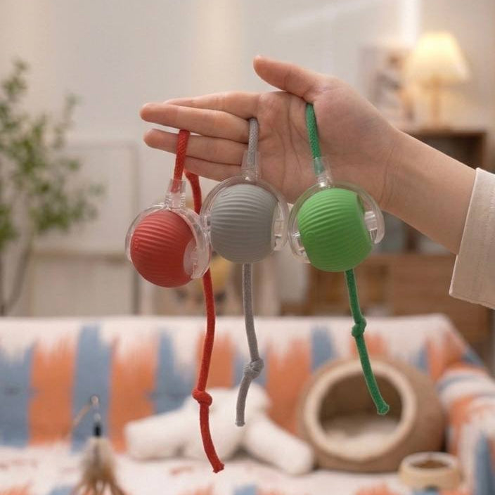 Paw-Zozo™ Smart Pet Interactive Ball Toy