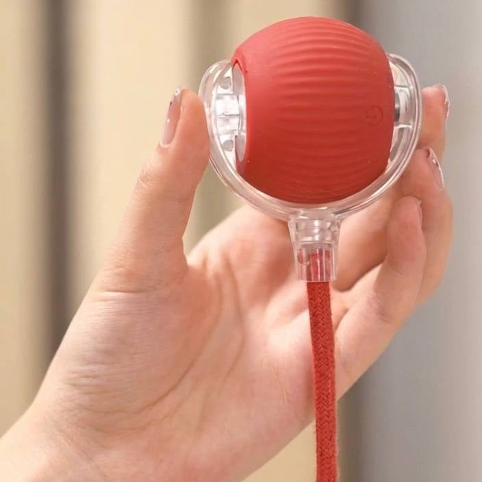 Paw-Zozo™ Smart Pet Interactive Ball Toy