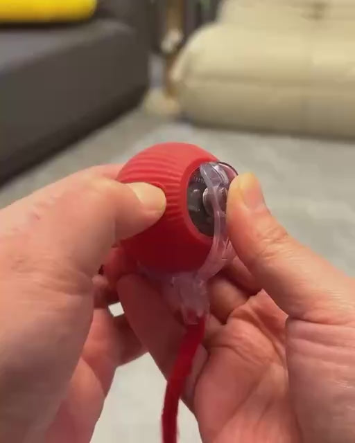 Paw-Zozo™ Smart Pet Interactive Ball Toy